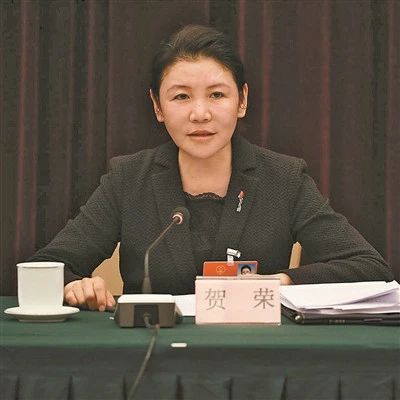 "女包公"贺荣任陕西省委副书记