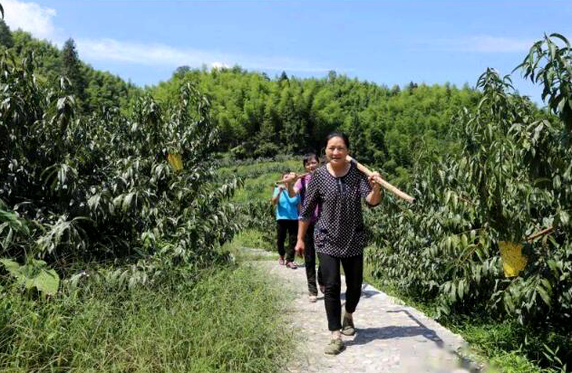 全国三八红旗手彭夏英:幸福生活是干出来的